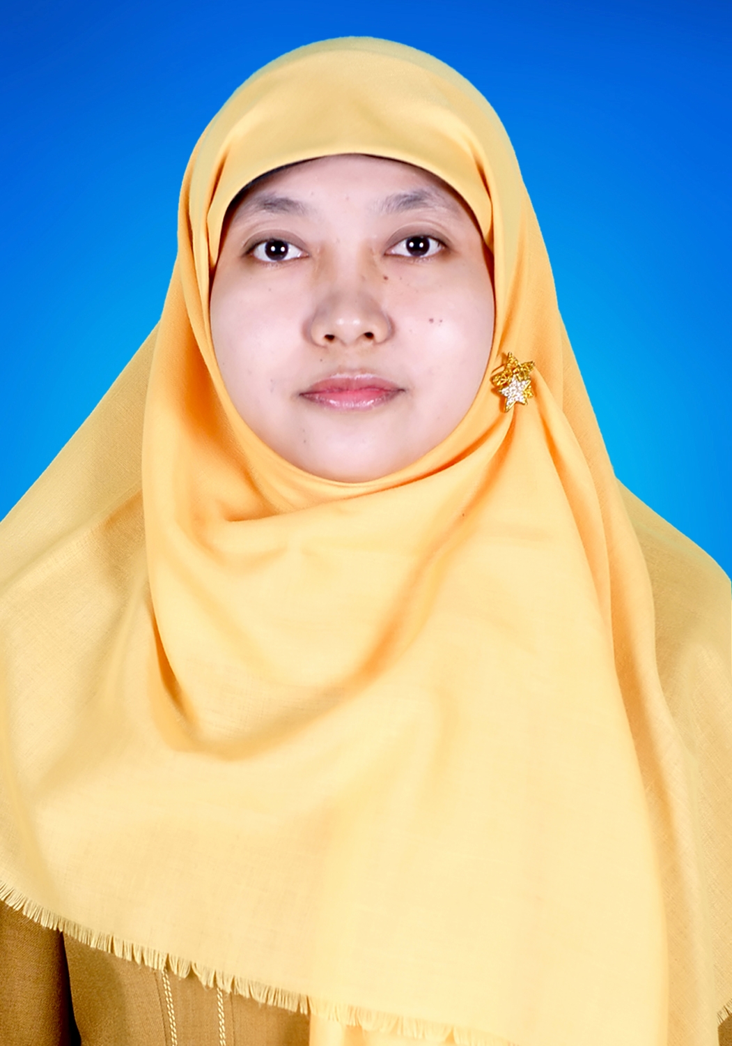 <center>PELAKSANA ADMINISTRASI<br>ERNA SOLIPAH, AMa.Pust</center>